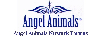 Angel Animals Network Forums